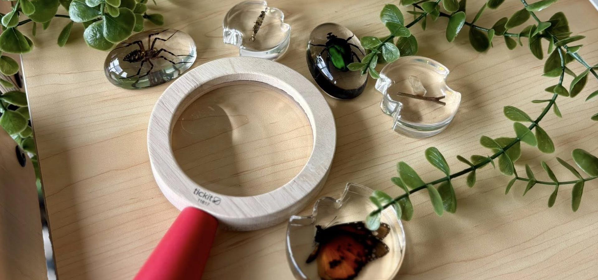 Pegasus Nest Preschool